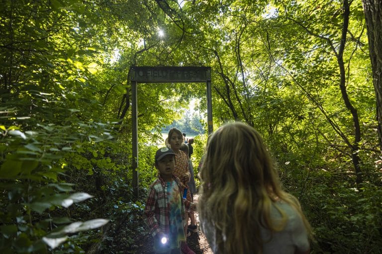 campers exploring a path at summer camp