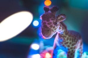 Close-up of a cute stuffed giraffe toy with colorful bokeh background lighting.